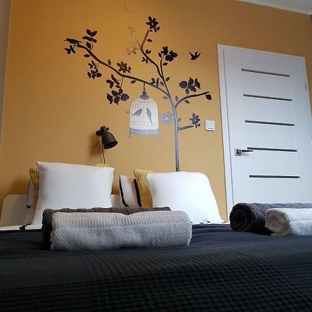 Black Rose Apartament Targi 3 Km, F-Ry Vat 키엘체 외부 사진