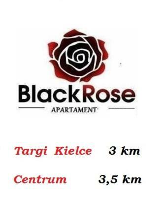 Black Rose Apartament Targi 3 Km, F-Ry Vat 키엘체 외부 사진
